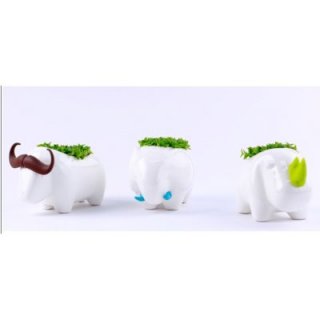 创意园艺大象造型绿色小盆栽收纳小物品