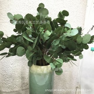 轻奢仿真3D手感尤加利叶单支圆形尤加利叶心形长条叶垂柳叶金钱叶