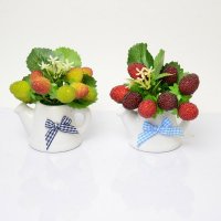 高仿真塑料小壶花盆+草莓套装小水果假水果蔬菜模型 摄影道具家居时尚装饰摆件FZSG-002