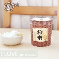 五谷栽培 办公室植物创意DIY可定制LOGO礼品厂家