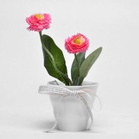 仿真金丝菊盆栽清新植物盆栽办公桌仿真花小盆景 套装含盆 素雅绿植物假花T615145