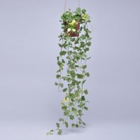 仿真花藤 绿植藤条藤蔓 壁挂 塑料装饰叶藤 常青藤吊篮花卉S62722
