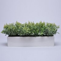 可爱迷你仿真兰花盆花小盆栽装饰花果子兰花摆设S65080