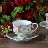 茶杯咖啡杯欧式咖啡杯高档礼盒装2杯2碟秘密花园咖啡杯碟1610A